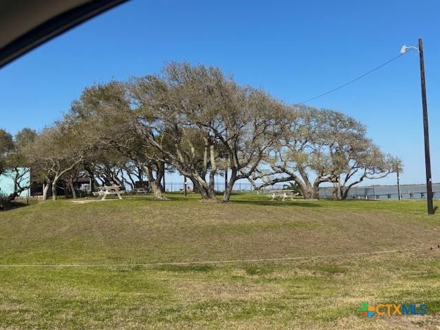 837 Swallow Dr, Palacios, TX 77465 - view of yard