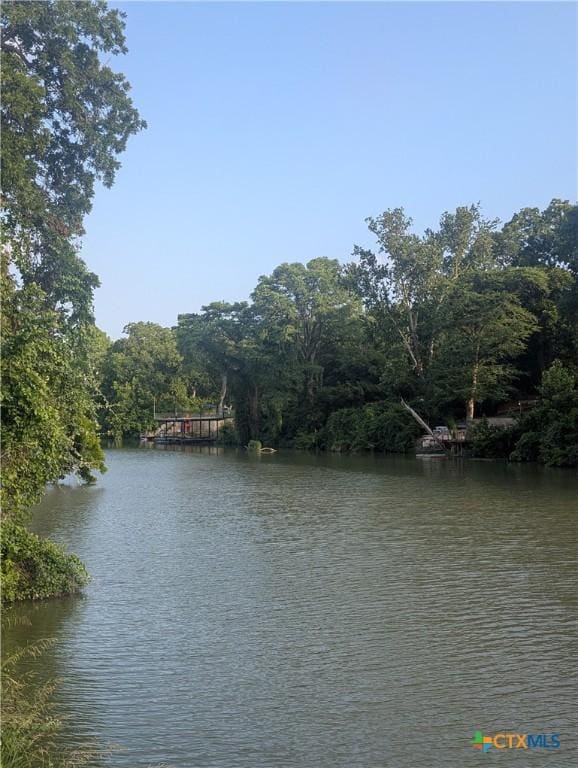 832 Saint James, Seguin, TX 78155 - water view featuring a heavily wooded area