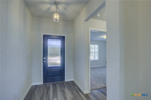 foyer entrance featuring hardwood / wood-style flooring