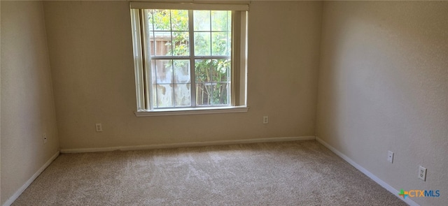 spare room featuring carpet floors