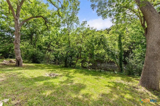 3002 Arrowhead Dr, Temple, TX 76502 - view of green lawn featuring a wooded view