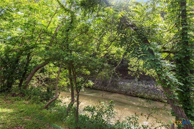 3002 Arrowhead Dr, Temple, TX 76502 - view of tree filled area