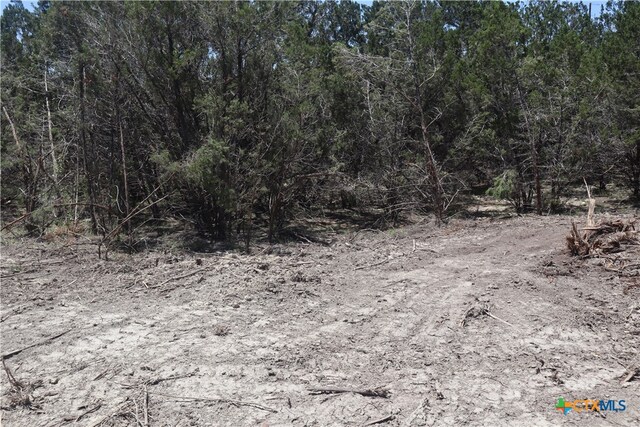 Listing photo 3 for LOT91A Golf Dr, Spring Branch TX 78070