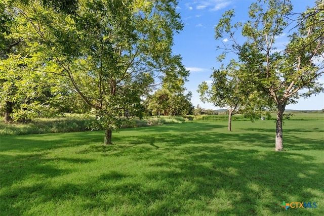 view of home's community with a yard