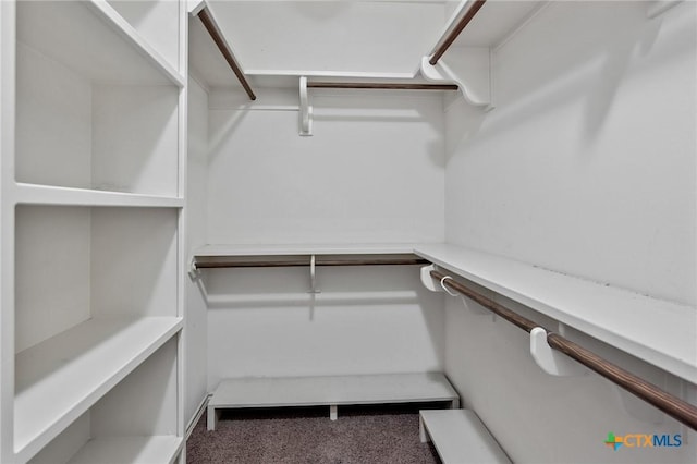 walk in closet with dark carpet