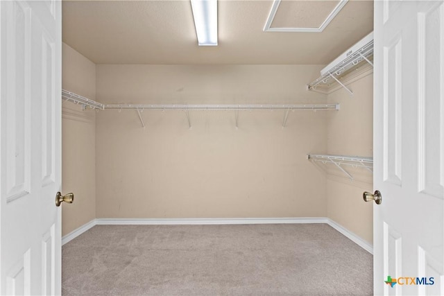 229 Rocky Ridge Dr, New Braunfels, TX 78130 - walk in closet featuring carpet floors