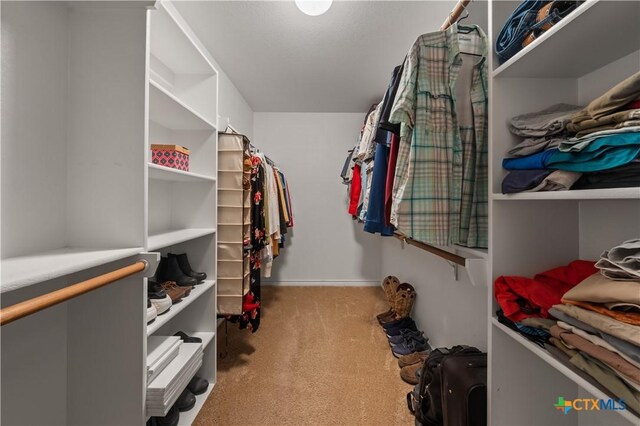 spacious closet with carpet floors