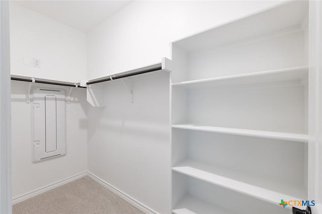 spacious closet with carpet