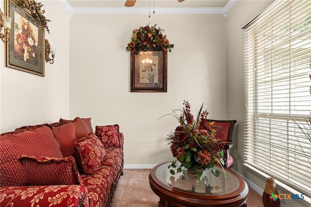 2004 Excel Dr, Killeen, TX 76542 - sitting room featuring carpet, ornamental molding, and a ceiling fan