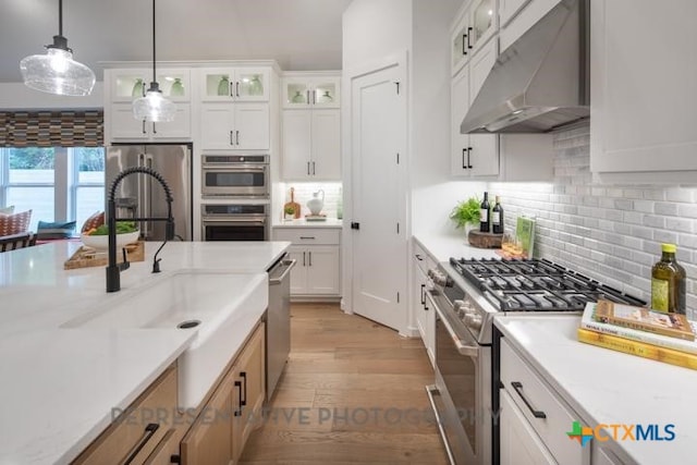 kitchen featuring exhaust hood, appliances with stainless steel finishes, a sink, light wood-style flooring, and decorative light fixtures