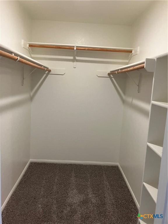 512 Constellation Dr, Killeen, TX 76542 - walk in closet with carpet