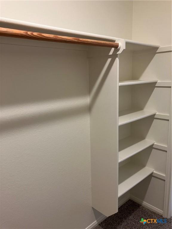 512 Constellation Dr, Killeen, TX 76542 - spacious closet with dark colored carpet