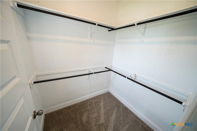 213 Fillmore Fls, Cibolo, TX 78108 - spacious closet featuring carpet floors