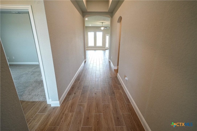 213 Fillmore Fls, Cibolo, TX 78108 - hallway featuring wood finished floors, arched walkways, and baseboards