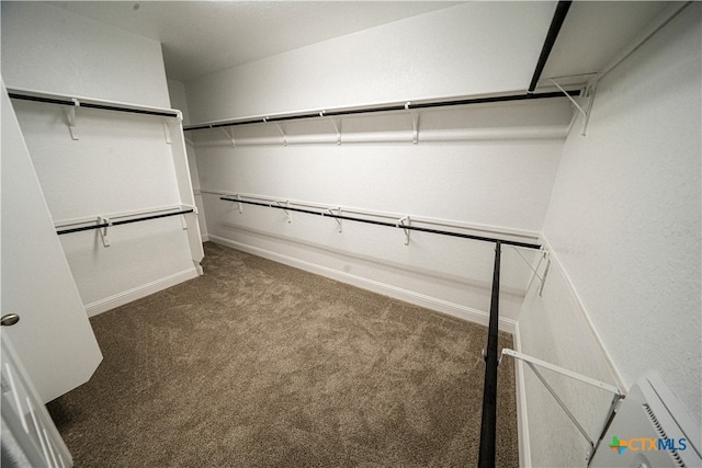 walk in closet with dark colored carpet