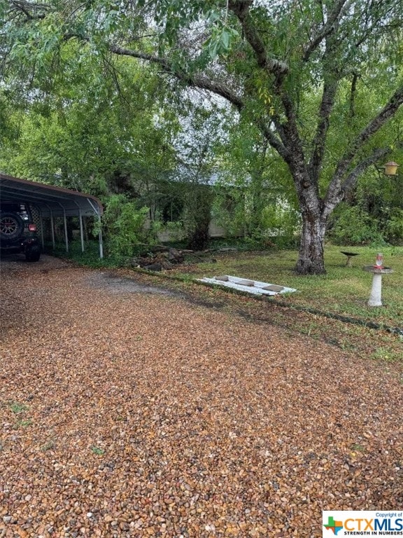 view of yard featuring a carport