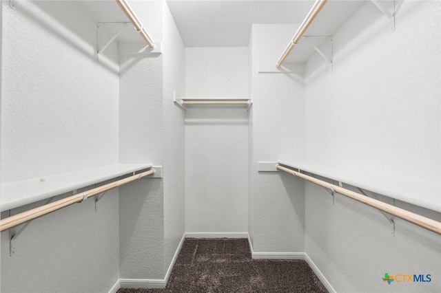 1536 Justice Dr, Copperas Cove, TX 76522 - spacious closet featuring carpet floors