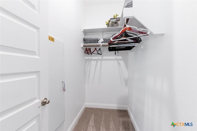 walk in closet featuring carpet floors