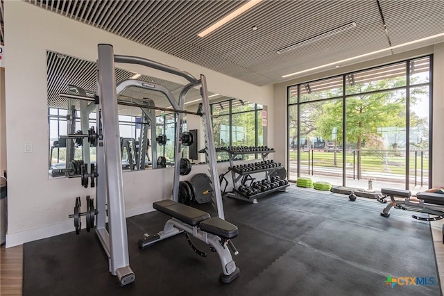 exercise room featuring a wealth of natural light and baseboards