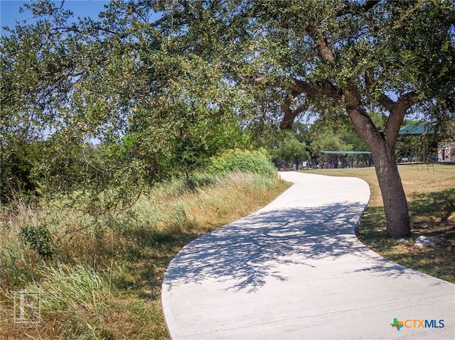 750 Cambridge Dr, New Braunfels, TX 78132 - view of community featuring concrete driveway
