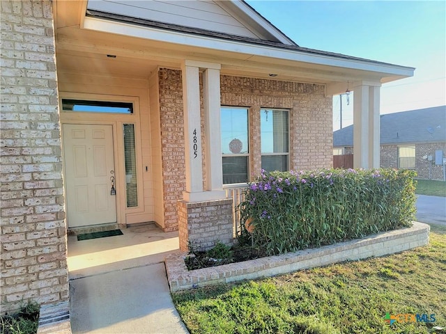 view of exterior entry with a porch and brick siding