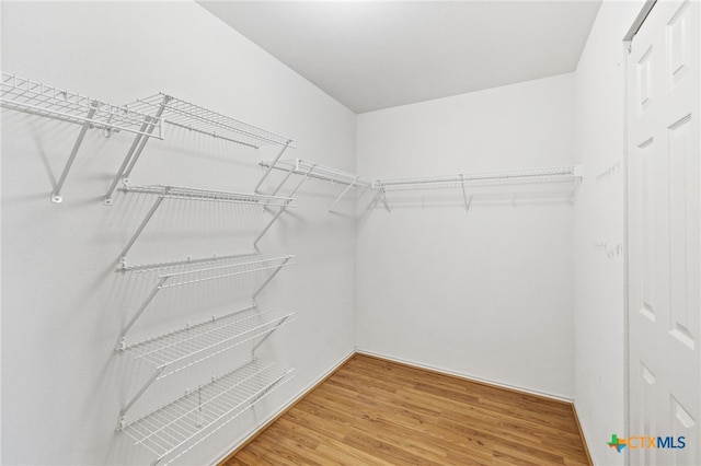 walk in closet with light wood finished floors