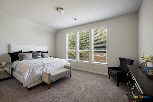 11305 Hollering Pass, Schertz, TX 78154 - bedroom with carpet and vaulted ceiling