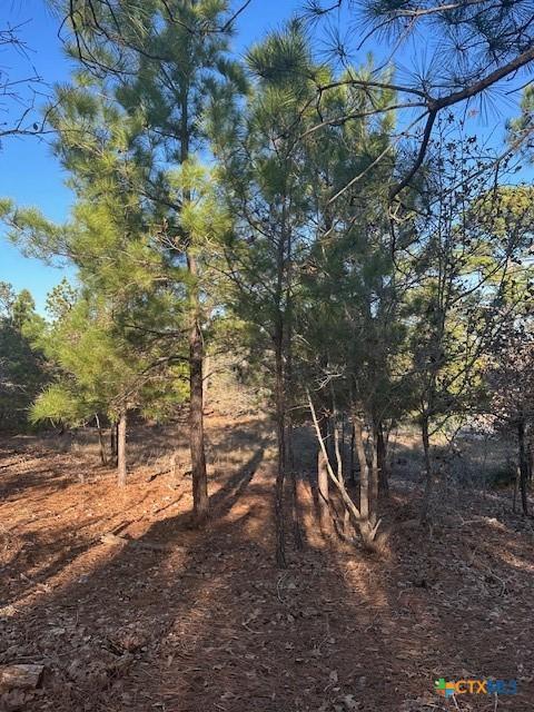 0TBD Hana Ct, Bastrop TX, 78602 land for sale