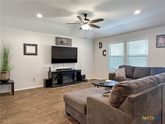 living room with ceiling fan and wood-type flooring