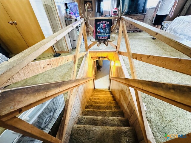 stairway with wooden walls