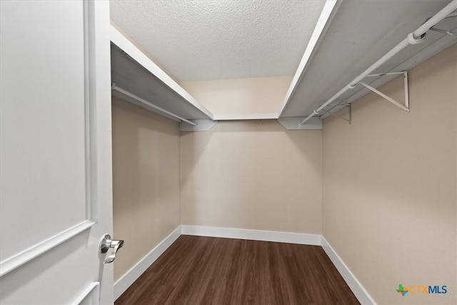 spacious closet with wood finished floors