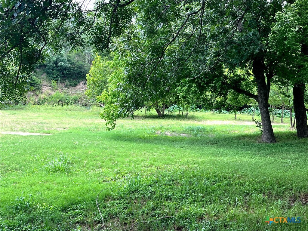 TBD Fm-1979, Martindale, TX 78655