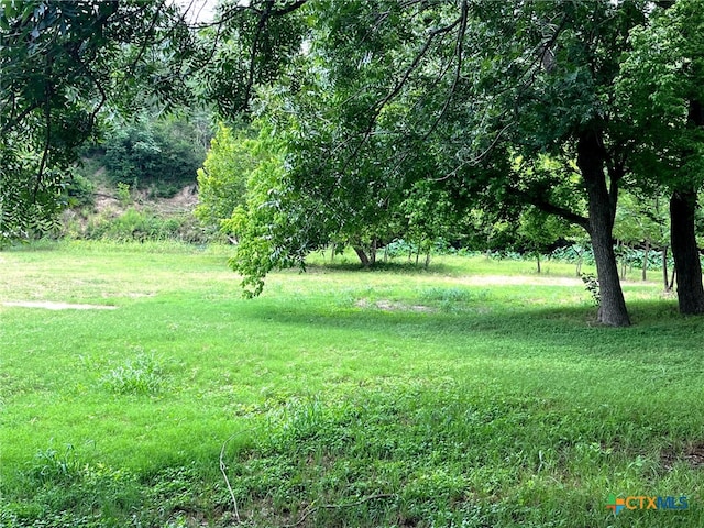 TBD Fm-1979, Martindale, TX 78655