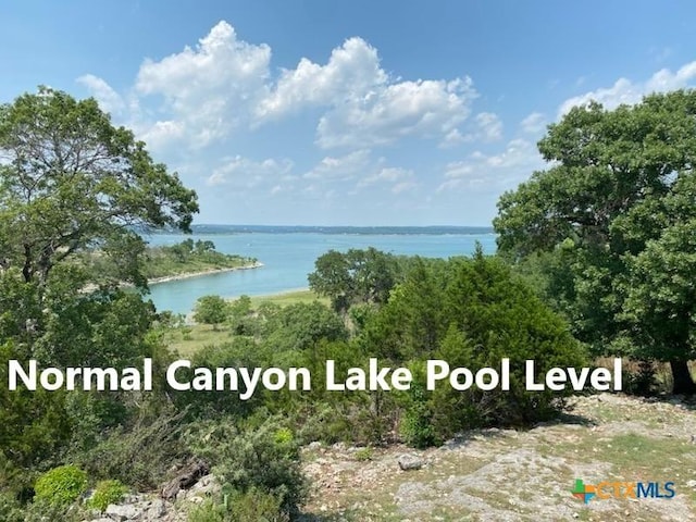 115 Scarlet Ct, Canyon Lake, TX 78133 - photo 5