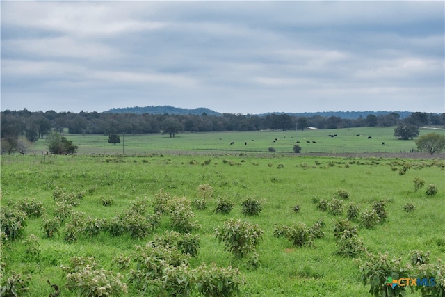 5912 Tenney Creek Rd, Luling TX, 78648 land for sale