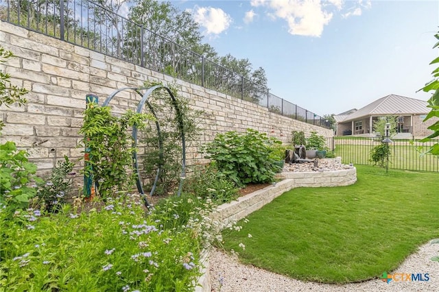 433 Skipping Cedar St, San Marcos, TX 78666 - view of yard