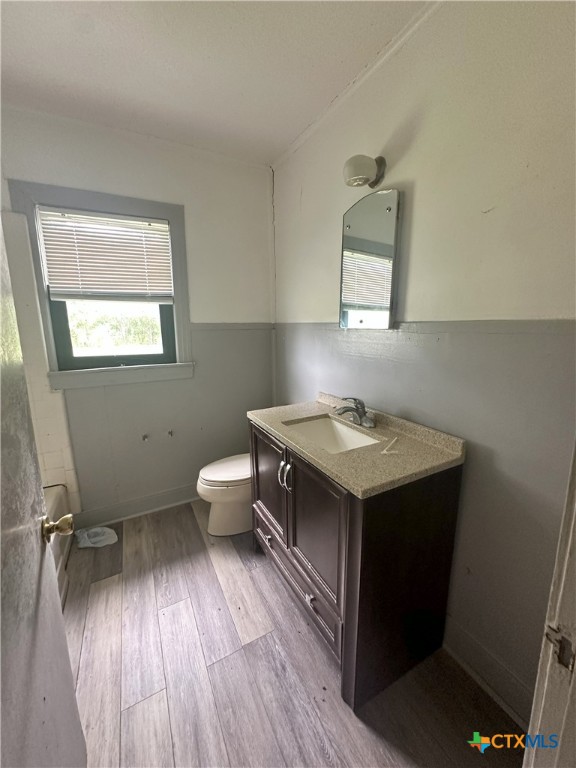 bathroom featuring vanity, hardwood / wood-style flooring, and toilet