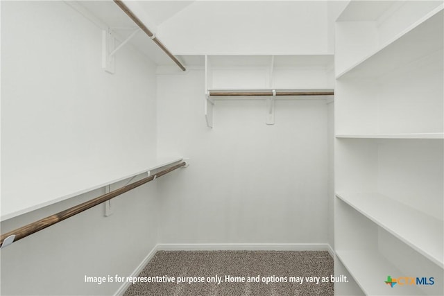 1997 Mercer St, Nolanville, TX 76559 - walk in closet featuring carpet flooring