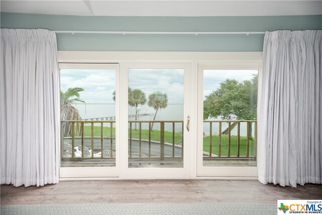 doorway to outside featuring hardwood / wood-style floors