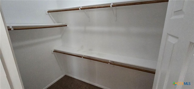 view of walk in closet