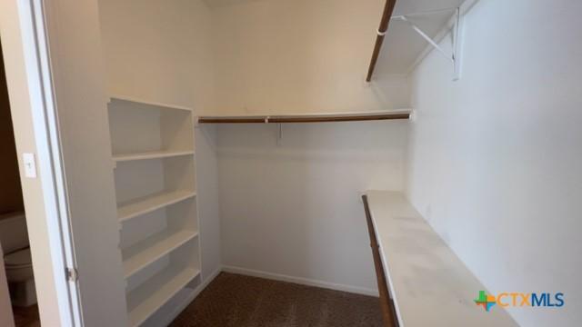 spacious closet with carpet