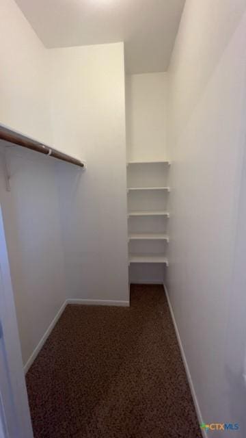 walk in closet featuring carpet