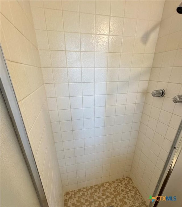 full bath featuring a shower stall