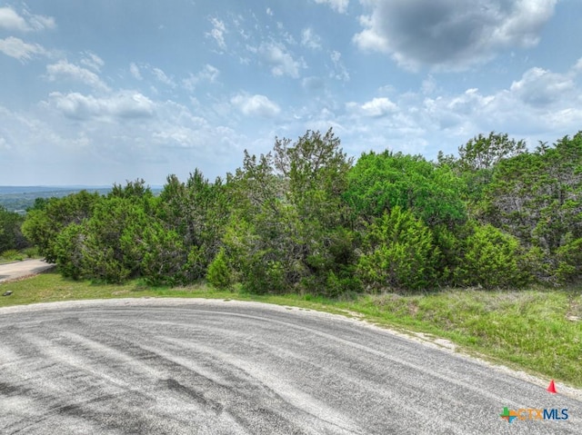 358 Toucan Dr, Spring Branch, TX 78070 - photo 15