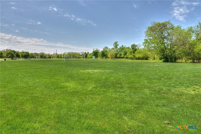 8430 Alvin High Ln, Austin, TX 78729 - view of yard with a sport area