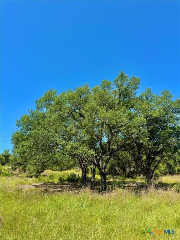 833 Bell Canyon Way, Bulverde, TX 78163 - photo 6