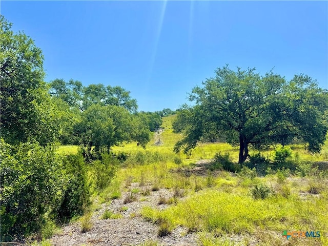 833 Bell Canyon Way, Bulverde, TX 78163 - photo 3