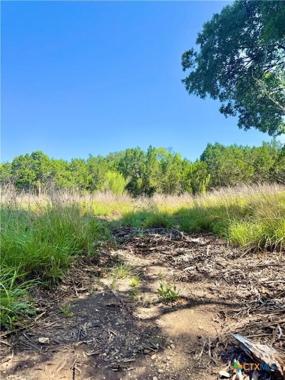 833 Bell Canyon Way, Bulverde, TX 78163 - photo 9