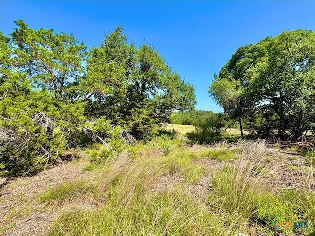 833 Bell Canyon Way, Bulverde, TX 78163 - photo 10