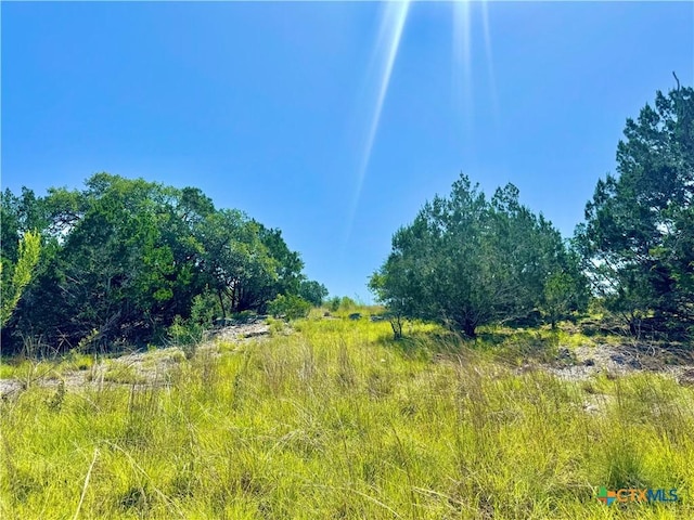 833 Bell Canyon Way, Bulverde, TX 78163 - photo 8